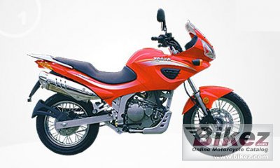 2008 Jialing JH600 photo